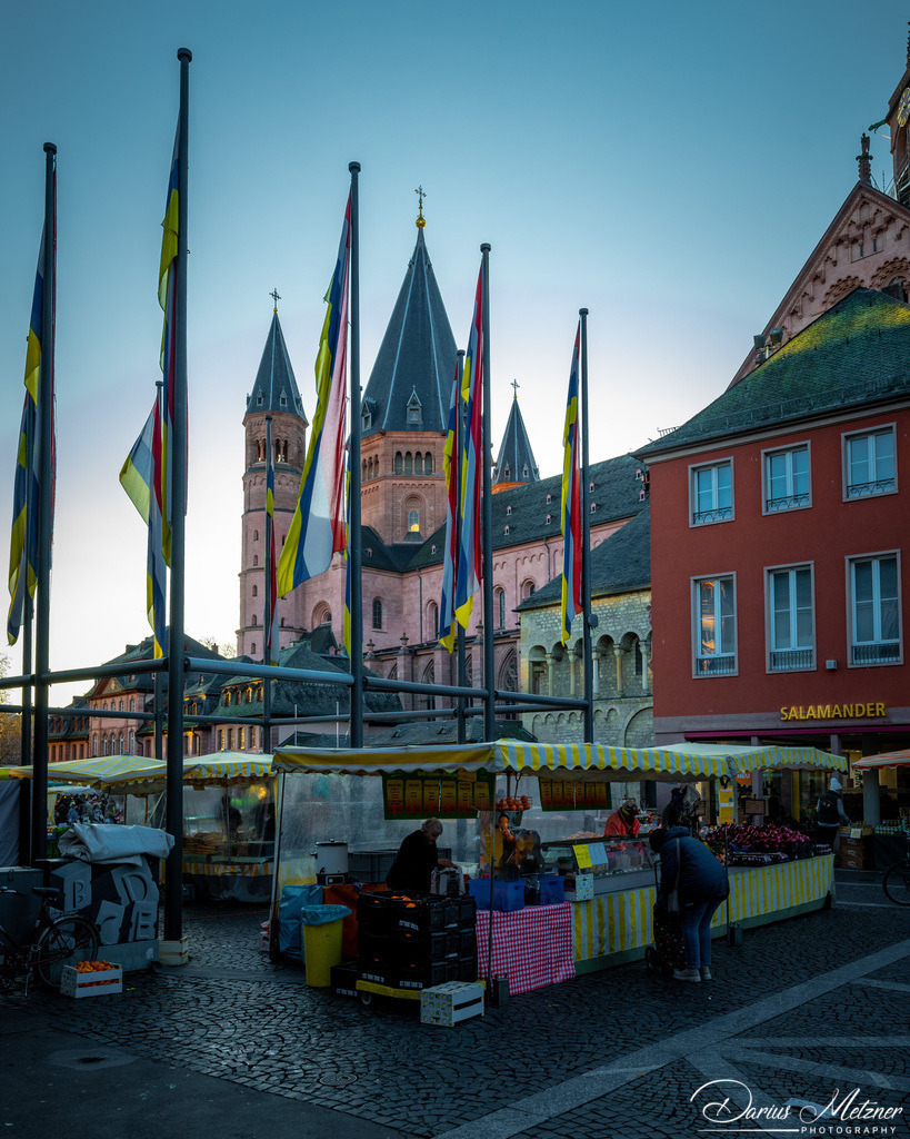 DSC_0433 | Fotografien, Fotos und Bilder aus Mainz, Frankfurt, Wiesbaden und anderen Orten auf der Welt - Fotografiert von Darius Metzner