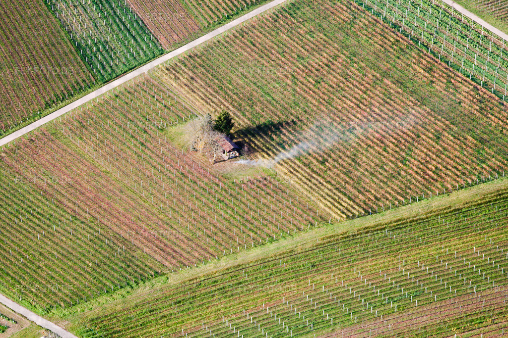 Wingerthäusel | Luftbild: Wingerthäusel in Insheim im Bundesland Rheinland-Pfalz in Deutschland. Foto: IMG_14513.jpg vom 08.11.2008 durch Werner Riehm/FLY-FOTO.de - Realisiert mit Pictrs.com