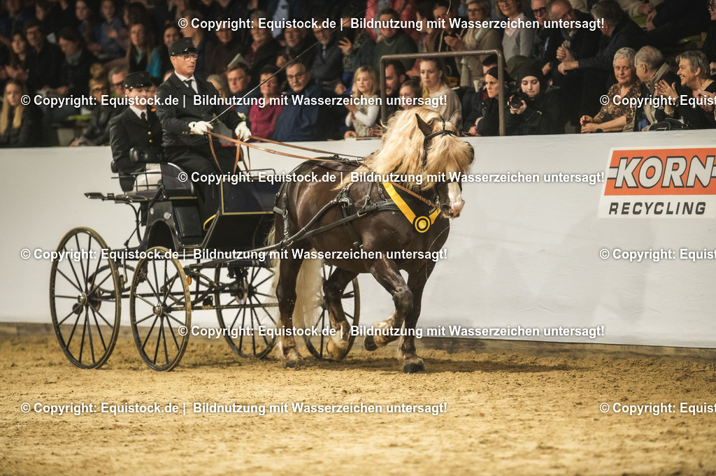 20240302_Hengstvorstellung_Marbach_TOMsPiC_0668 | equistock
