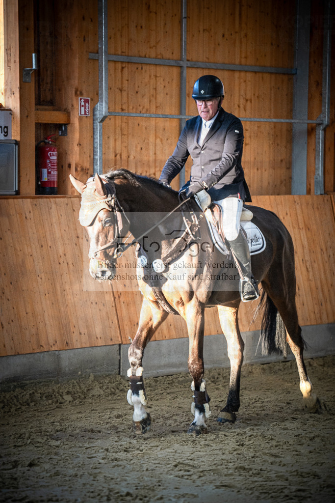 DOS_0570 | Entdecke hochwertige Reitturnierfotos von Foto Oger. Professionell, emotional und authentisch – jetzt Lieblingsmomente im Shop bestellen.Deutschlandweite Turnierfotografie. - Realisiert mit Pictrs.com