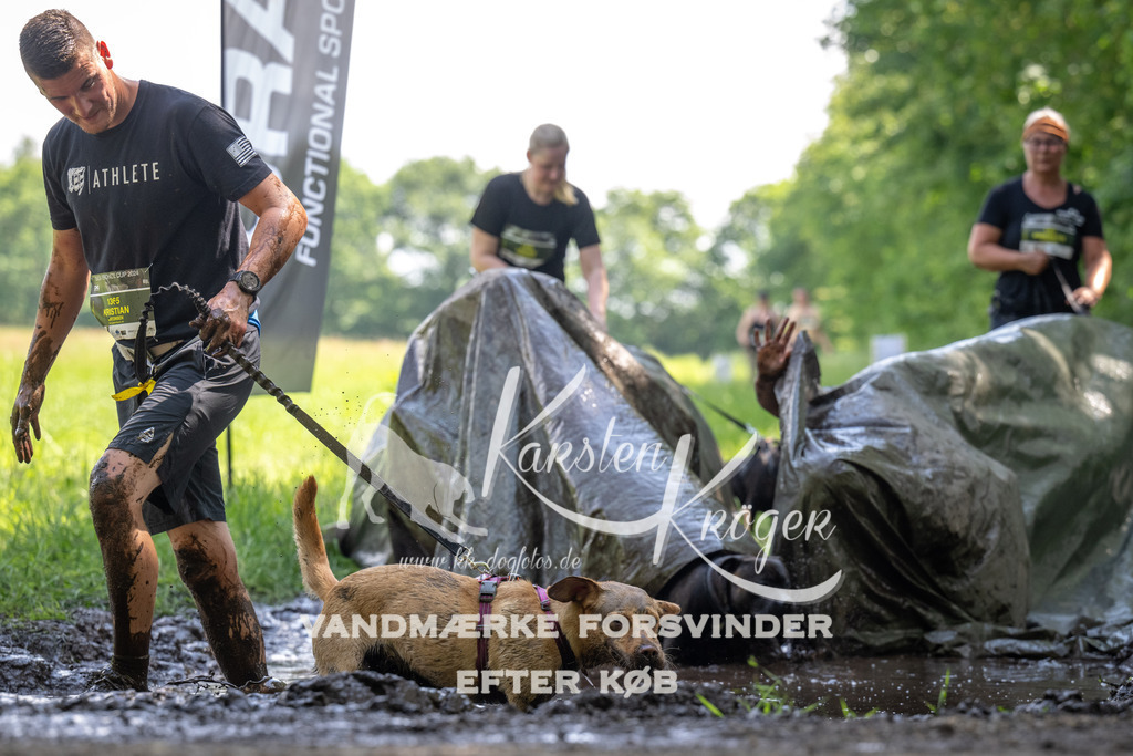 1155_ZZ90237 | kk-dogfotos