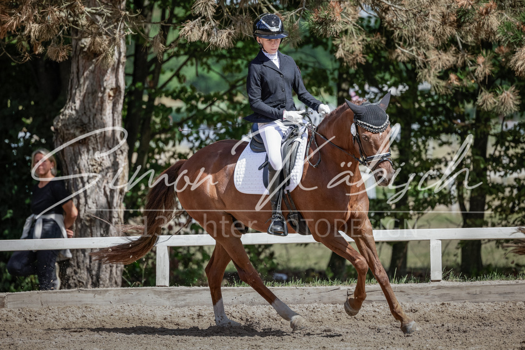20250906-_3LI5528 | Tierfotografie Pferde, Hunde, Katzen, Haustiere.
Turnierfotografie Reitturniere, Reiten, Springreiten, Dressur in Hanau, dem Main-Kinzig-Kreis und dem Rhein-Main- Gebiet um Frankfurt