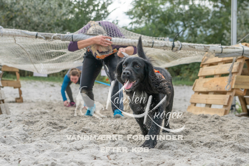 1137_ZZ98357 | kk-dogfotos