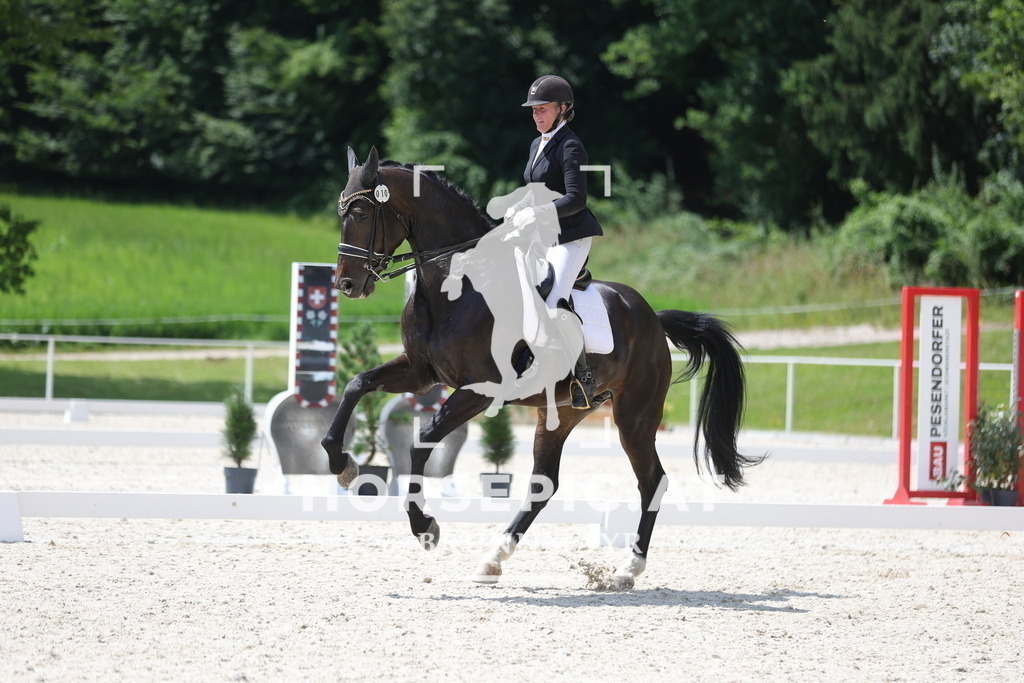 0P6A6387 | Willkommen bei Brunnmayr - Design & Fotografie – Ihrem Spezialisten für Reitturniere und Pferdeveranstaltungen in Oberösterreich, Salzburg und Bayern! Seit über 17 Jahren sind wir leidenschaftlich dabei.