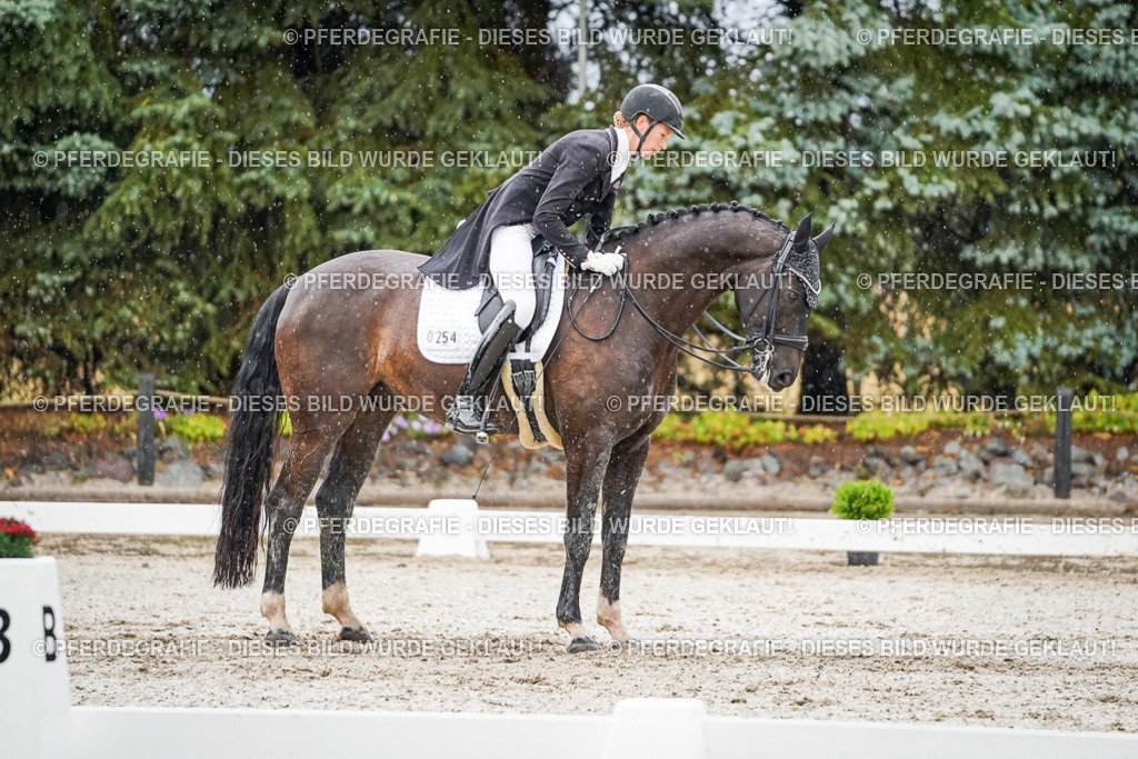 DSC08935 | Pferdegrafie