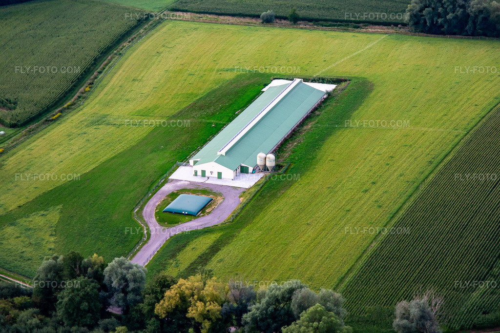 Aerial view: New poultry breeding in Trimbach in the state Bas-Rhin, France.Photo: IMG_137722.jpg taken on 08/12/2023 by Werner Riehm/FLY-FOTO.comResolution of the original: 4421 x 2948 px