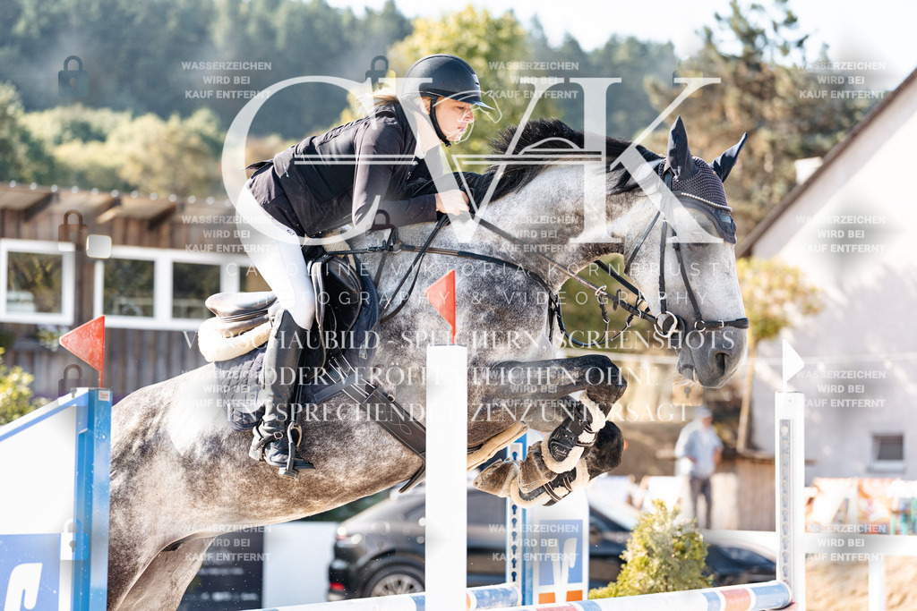CK904639 | Turnierfotografie Pferdefotografie Trier Rheinland-Pfalz Pferdesport Reitsport Tierfotografie Sportfotografie Pferdevideo Pferdevideografie Equestrianvideography equestrianphotography  - Realisiert mit Pictrs.com