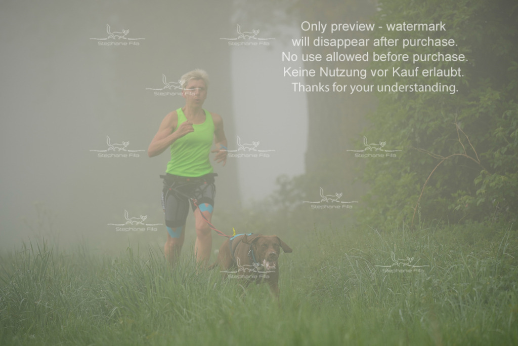 SA_GL2-93 | stephaniefillaphotographie - Realisiert mit Pictrs.com