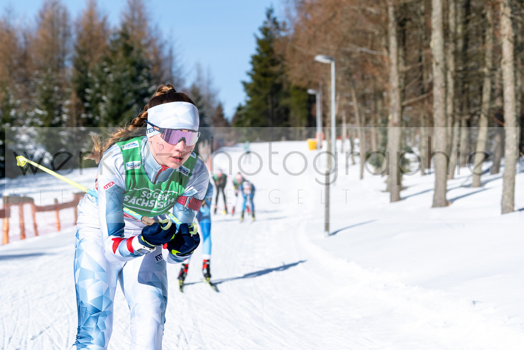 DSC Altenberg | Deutscher Schülercup in Altenberg vom 11. bis zum 13. Februar 2022