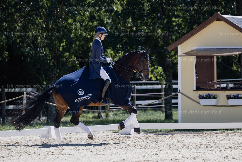 FHC2026_P12_Siegerehrung_19690 | working equitationturnier fotograf videograf stoibphotography marixx film working equitation deutschland reitsport turnierfotografie eventfotografie equestrian events