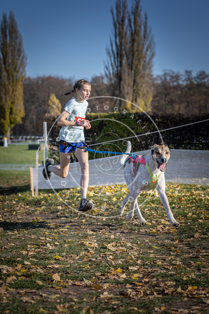 CaniXpix_DV3A9456 | Hundefotografie, Tierfotograf, Pfotenfotografie, Fotoshooting Hund, Hunde Portrait, Hundesport, Hundeportraits, Heideshooting, Hunde, Sportfotograf, Hundefotograf, Turnierhundsport, THS,  - Realisiert mit Pictrs.com
