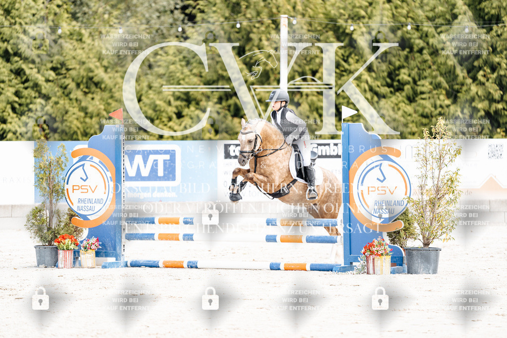 CK906205 | Turnierfotografie Pferdefotografie Trier Rheinland-Pfalz Pferdesport Reitsport Tierfotografie Sportfotografie Pferdevideo Pferdevideografie Equestrianvideography equestrianphotography  - Realisiert mit Pictrs.com