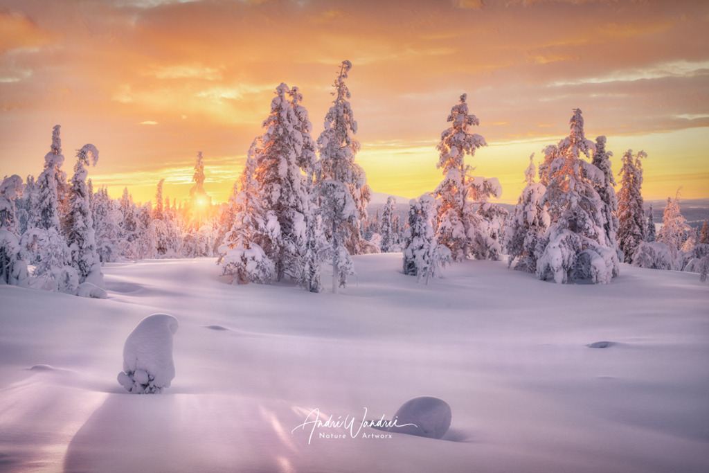 Goldene Stunde in Lappland | Andre Wandrei - Nature Artworx - Realisiert mit Pictrs.com