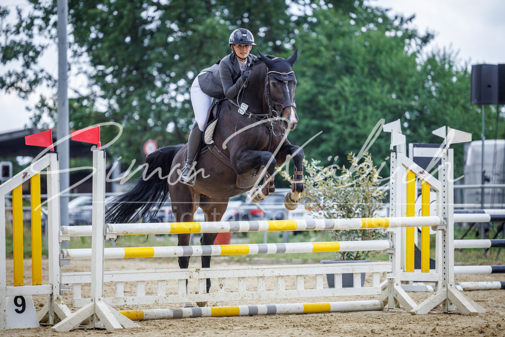 20260705-_3LI5050 | Tierfotografie Pferde, Hunde, Katzen, Haustiere.
Turnierfotografie Reitturniere, Reiten, Springreiten, Dressur in Hanau, dem Main-Kinzig-Kreis und dem Rhein-Main- Gebiet um Frankfurt