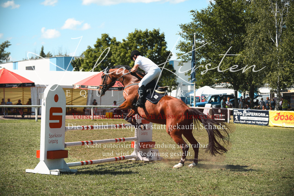 DSC_7115 | Pferde- und Turnierfotografie in Westsachsen. Pferdeportraits, Auftragszeichnungen und intuitive Kunst.
