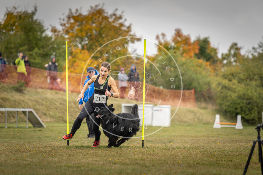 Pfotenfotografie_DV3A3570 | Hundefotografie, Tierfotograf, Pfotenfotografie, Fotoshooting Hund, Hunde Portrait, Hundesport, Hundeportraits, Heideshooting, Hunde, Sportfotograf, Hundefotograf, Turnierhundsport, THS,  - Realisiert mit Pictrs.com