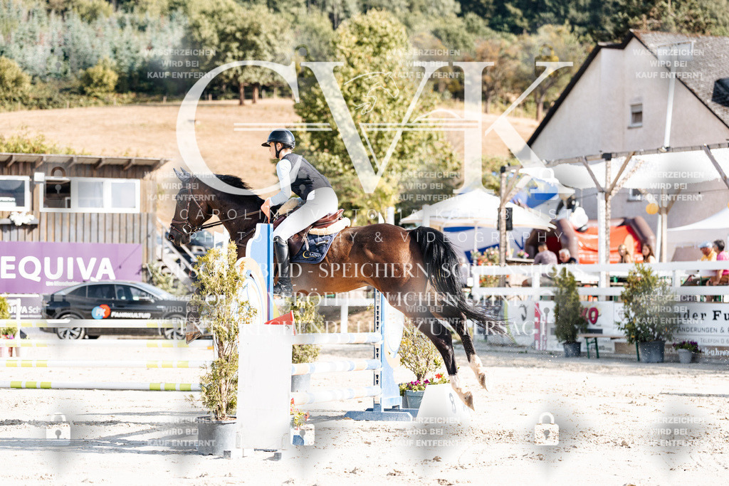 CK909264 | Turnierfotografie Pferdefotografie Trier Rheinland-Pfalz Pferdesport Reitsport Tierfotografie Sportfotografie Pferdevideo Pferdevideografie Equestrianvideography equestrianphotography  - Realisiert mit Pictrs.com