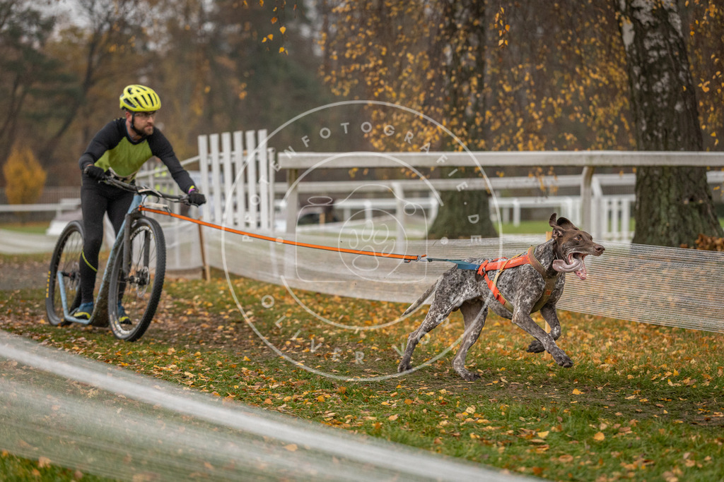 CaniXpix_DV3A7818 | Hundefotografie, Tierfotograf, Pfotenfotografie, Fotoshooting Hund, Hunde Portrait, Hundesport, Hundeportraits, Heideshooting, Hunde, Sportfotograf, Hundefotograf, Turnierhundsport, THS,  - Realisiert mit Pictrs.com