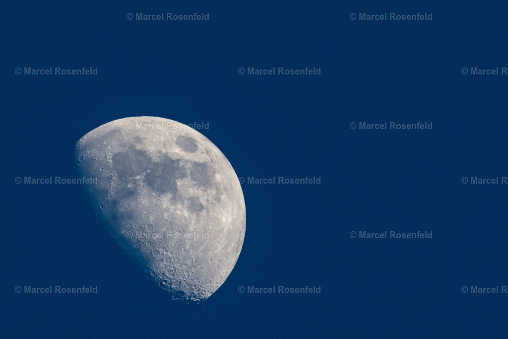 _DSC2767 (2) | foto-rosenfeld