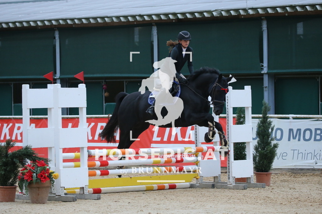 DL2Q3785 | Willkommen bei Brunnmayr - Design & Fotografie – Ihrem Spezialisten für Reitturniere und Pferdeveranstaltungen in Oberösterreich, Salzburg und Bayern! Seit über 17 Jahren sind wir leidenschaftlich dabei.