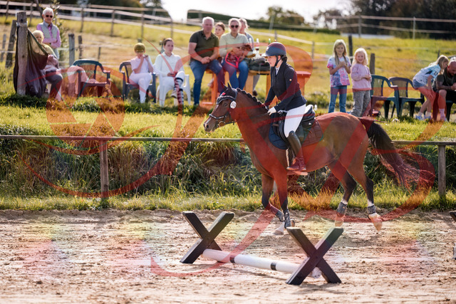 2026_10_03_Siefer-Hof_145735_Z81_39546031 | Professionelle Reitsport-, Turnier- und Eventfotografie von Robert Broda. Galerien mit ausgewählten und bearbeiteten Bildern direkt online ansehen und bestellen.