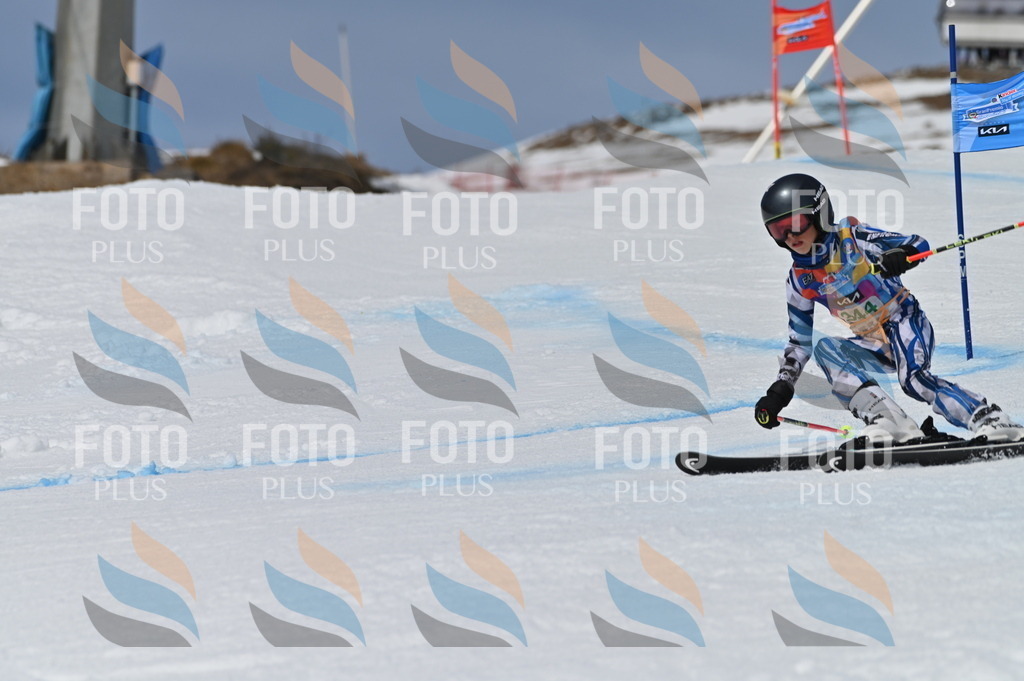 BGV_6840 | holidayphoto