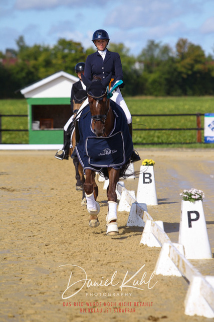 DKP43951 | Turniersportfotografie; Pferdefotografie; Dressurfotografie