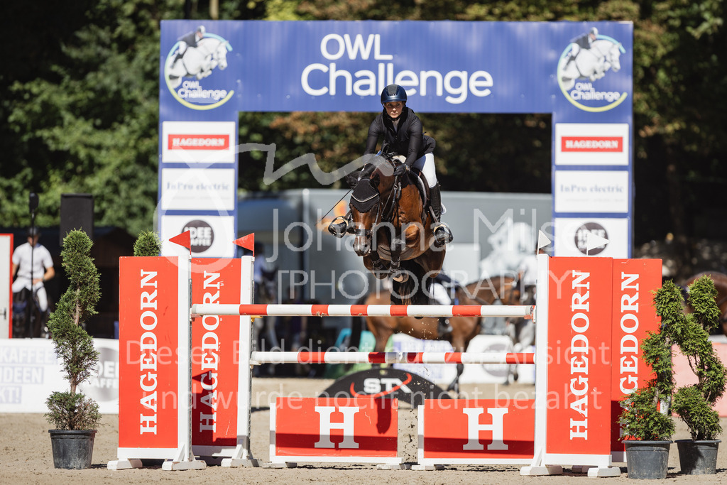 230908_OWLCh_LargeTour-451 | Deine schönsten Turniermomente als professionelle Fotos! Entdecke hochwertige Pferdesport-Fotografie im Online-Shop. Jetzt Fotos finden & bestellen!