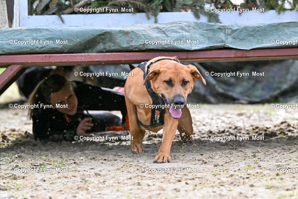DSC_4504 | Hallo und herzlich Willkommen auf meiner Shop-Seite Fynn Most.

Ich wünsche Dir viel Spaß beim stöbern durch die Bilder, wenn Du Fragen hast oder Bilder vermisst, kannst du mir gerne eine Nachricht schreiben. - Realisiert mit Pictrs.com