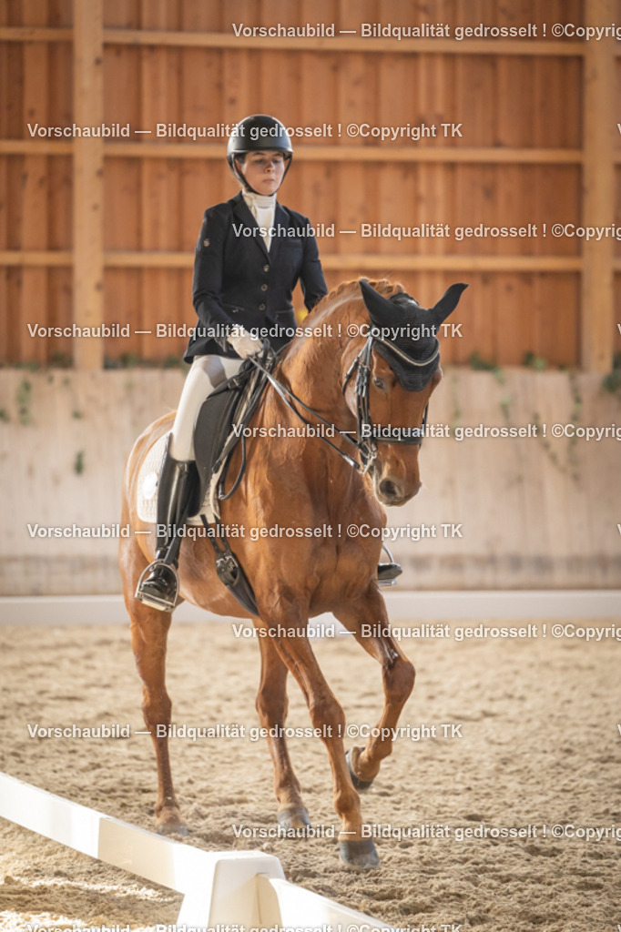 _D5A3196 | Emotionale Pferde- & People-Fotografie rund um Heidelberg, Leimen & Umgebung. Natürliche Fotos von Pferd, Mensch & Familie. Jetzt Termin sichern!