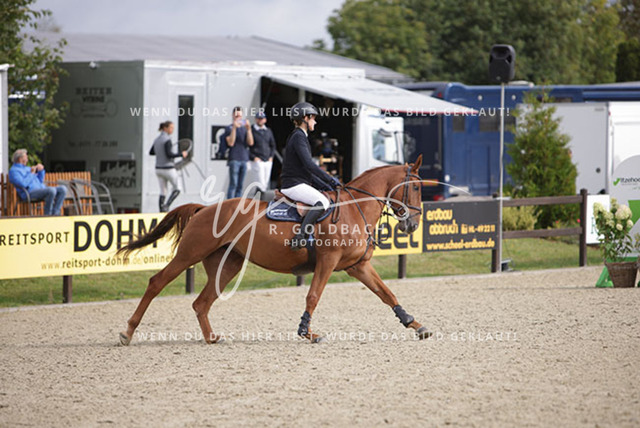 1J2A2523Pheline Ahlmann_ Belloumi_ Kn046_ Havekost | Foto- und Videografie für alles rund ums Pferd. Hochwertige Bilder und Videos vom Spring- und Dressurreiten, Voltigieren & mehr. Jetzt aktuelle Veranstaltungen und Preise im Shop ansehen. - Realisiert mit Pictrs.com