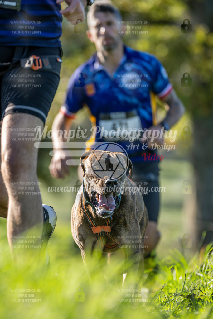 MompixPhotography_20TSB_E3_Run-172 | PayLife