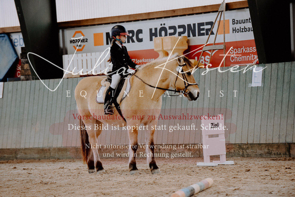 DSC_6746 | Pferde- und Turnierfotografie in Westsachsen. Pferdeportraits, Auftragszeichnungen und intuitive Kunst.