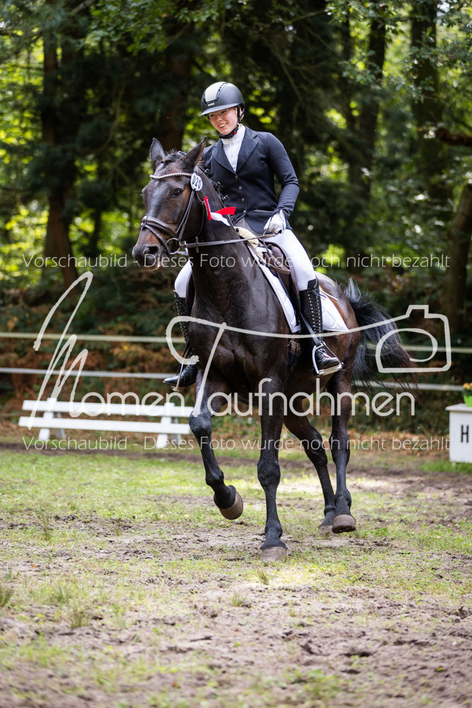 HB-Dressur-WB-130 | MomenTaufnahmen Pferdesportfotos