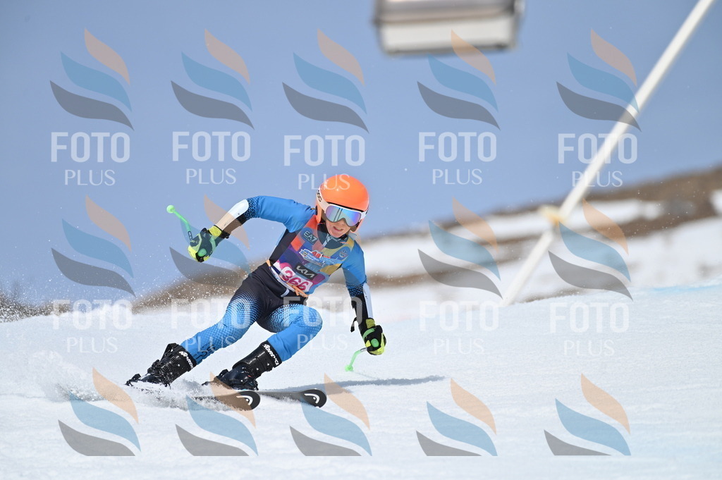 BGV_3953 | holidayphoto