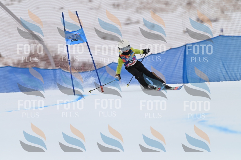 BGV_1800 | holidayphoto