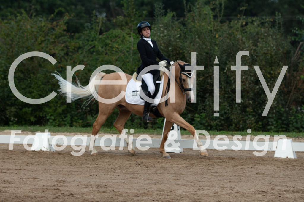 IMG_1162 | Creatify Fotografie