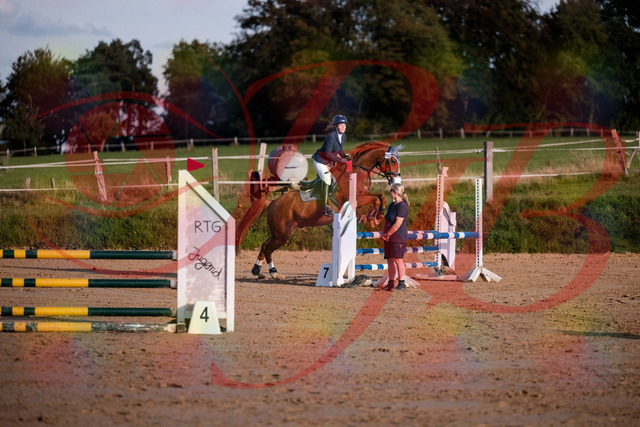 2026_10_03_Siefer-Hof_171247_Z81_09988137 | Professionelle Reitsport-, Turnier- und Eventfotografie von Robert Broda. Galerien mit ausgewählten und bearbeiteten Bildern direkt online ansehen und bestellen.