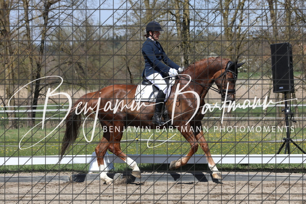 AZ2A5041 | Benjamin Bartmann Photomoments