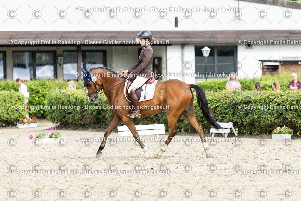 CL5A6700-2 | Emilia Reinking Fotografie - Realisiert mit Pictrs.com