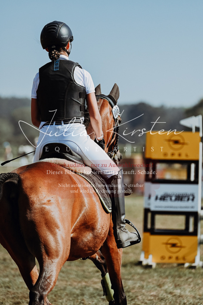 DSC_9420 | Pferde- und Turnierfotografie in Westsachsen. Pferdeportraits, Auftragszeichnungen und intuitive Kunst.
