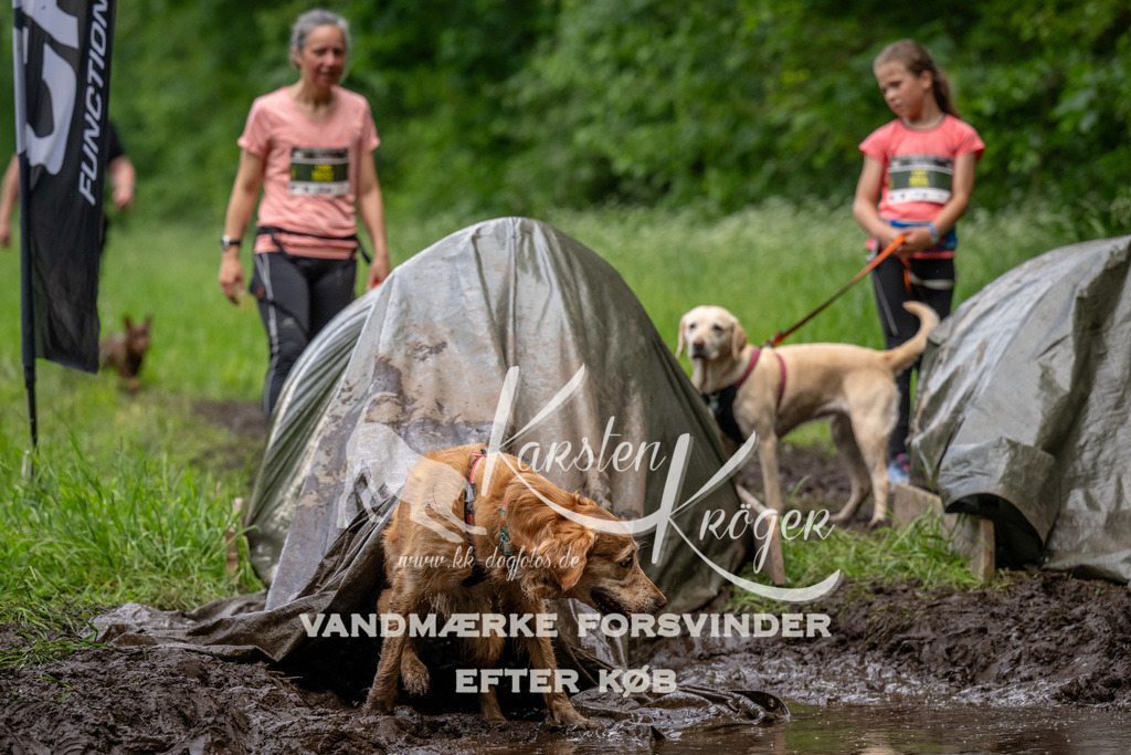 1529_ZZ93849 | kk-dogfotos