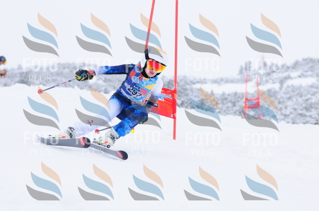 C3140 | holidayphoto