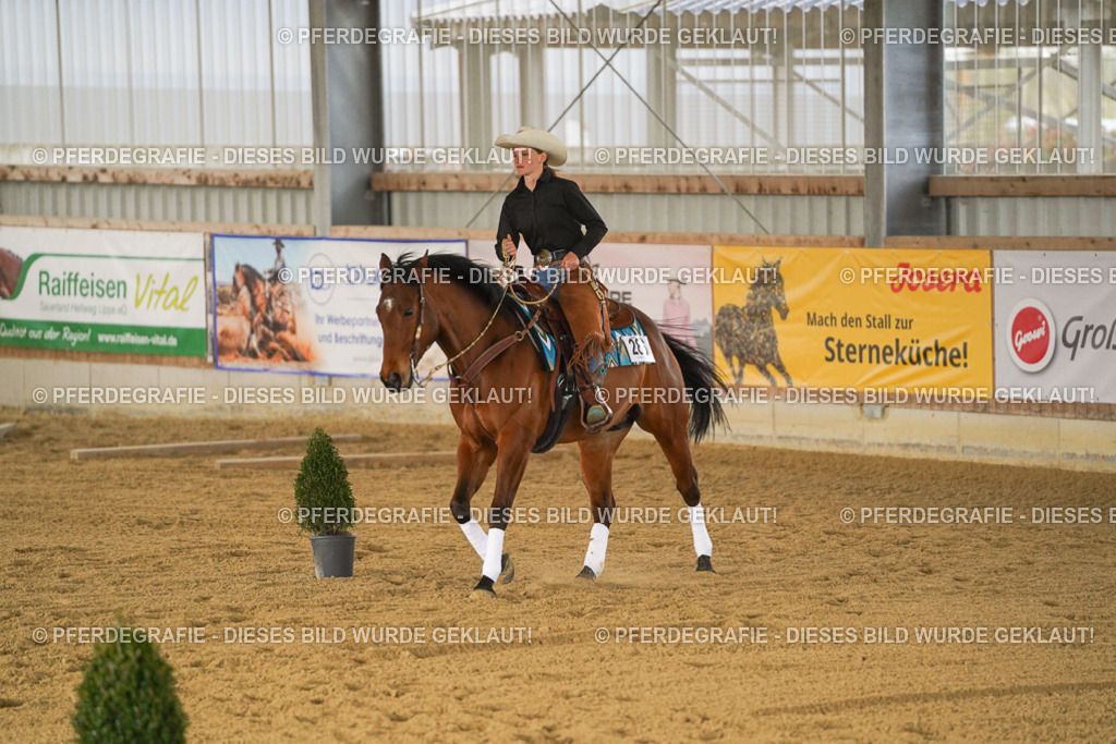 DSC04459 | Pferdegrafie