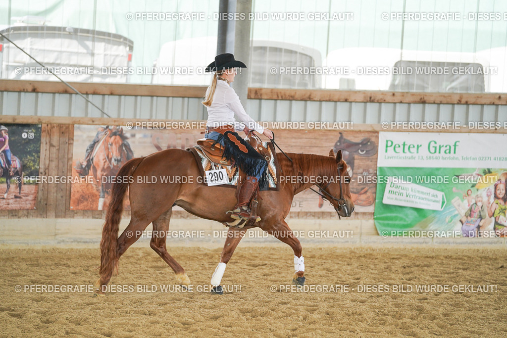 DSC06106 | Pferdegrafie