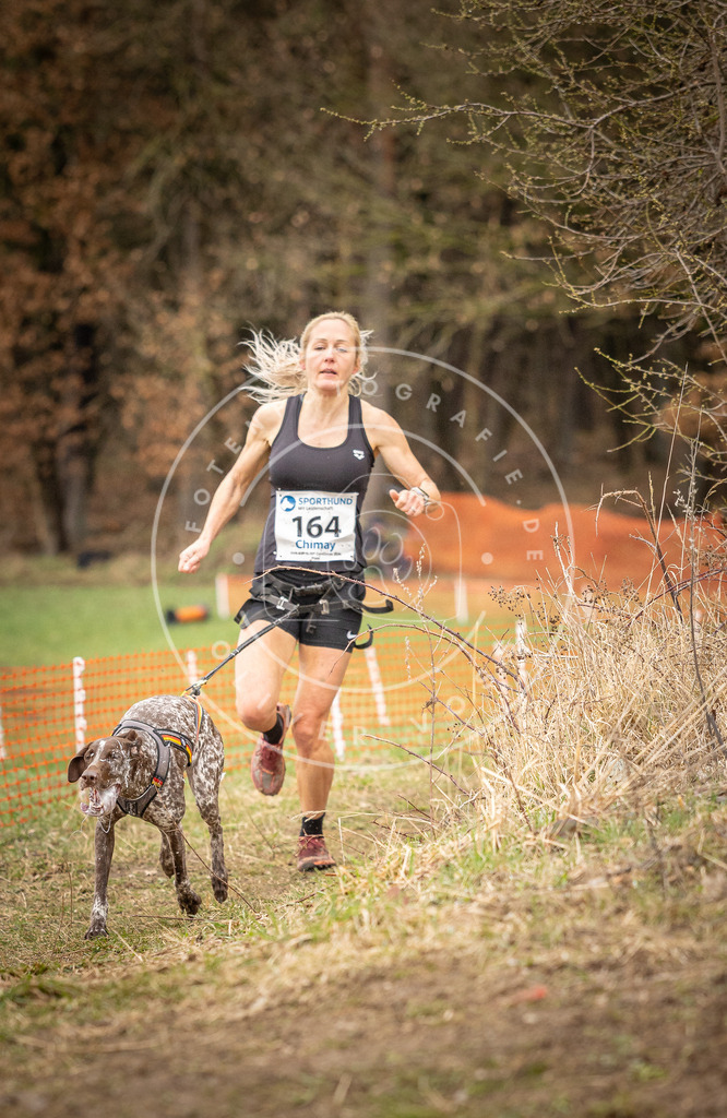 DV3A2035 | Hundefotografie, Tierfotograf, Pfotenfotografie, Fotoshooting Hund, Hunde Portrait, Hundesport, Hundeportraits, Heideshooting, Hunde, Sportfotograf, Hundefotograf, Turnierhundsport, THS,  - Realisiert mit Pictrs.com