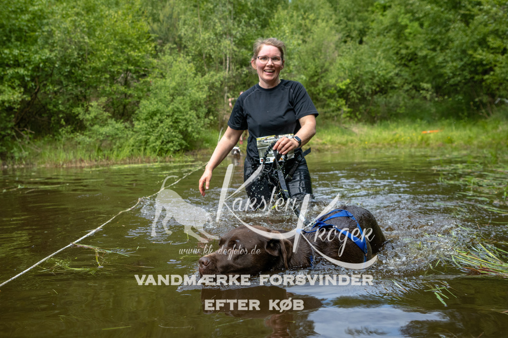 1115DKK994562 | kk-dogfotos