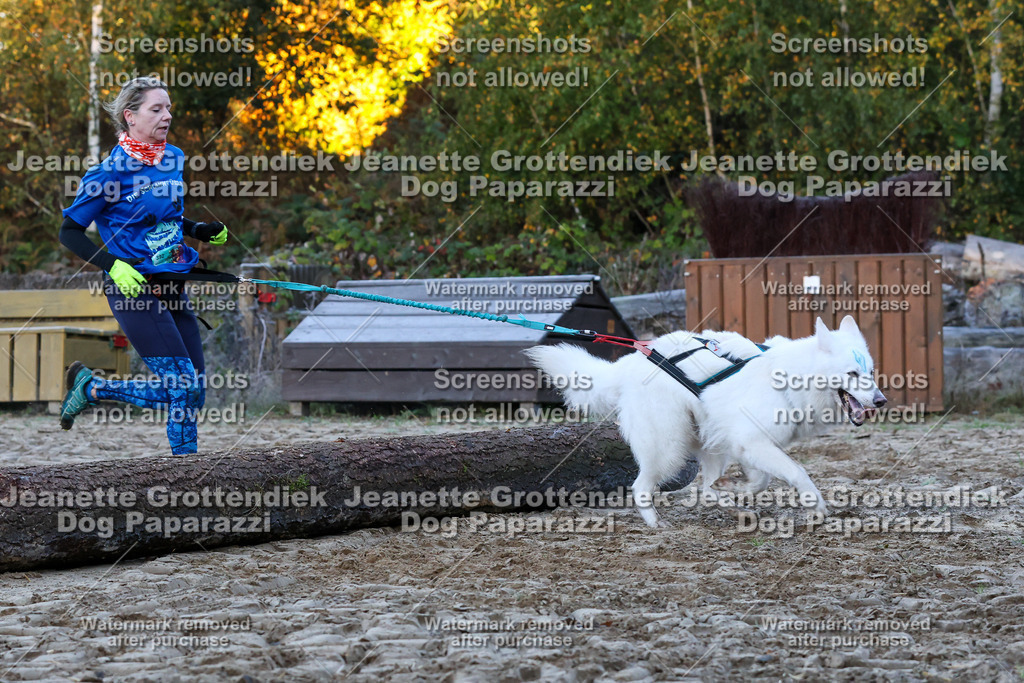 Dog Paparazzi - Strongdog 10-25-338 | Dog Paparazzi Jeanette Grottendiek Fotografie & Videografie - Realisiert mit Pictrs.com