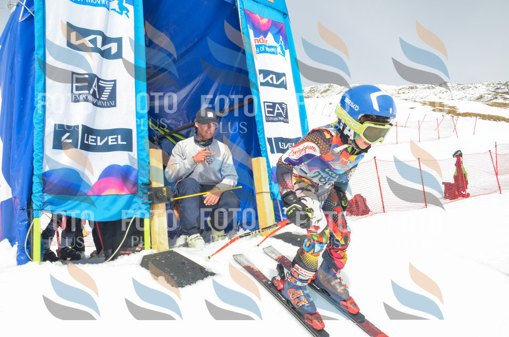 _ELE8025 | holidayphoto