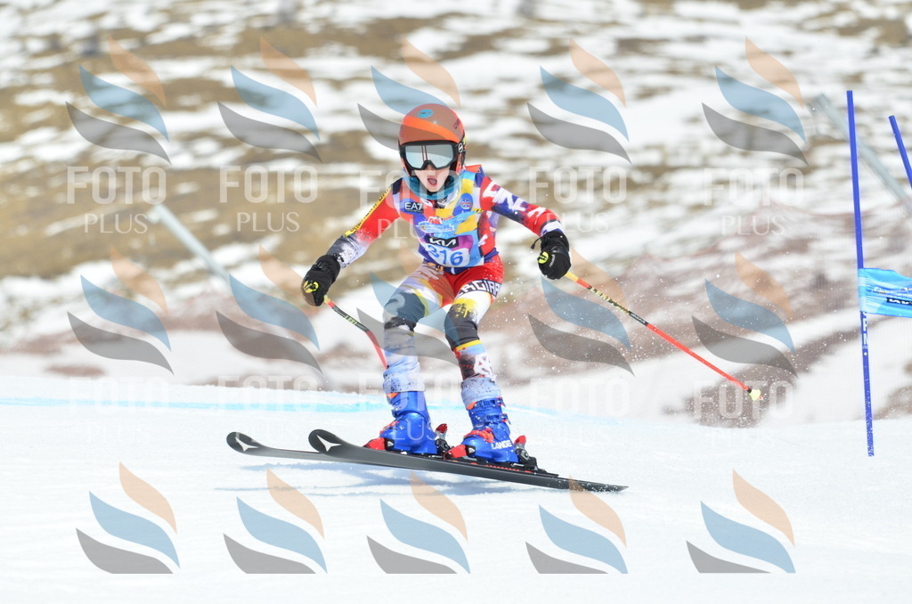 _ELE2392 | holidayphoto